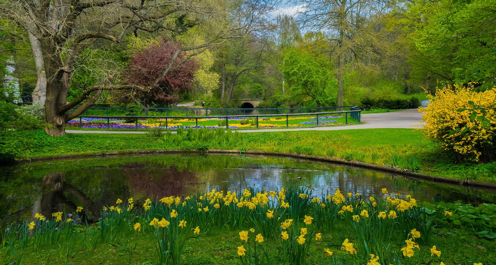 berliner-rundfunk-leben-in-berlin-und-brandenburg-bärlauch-park