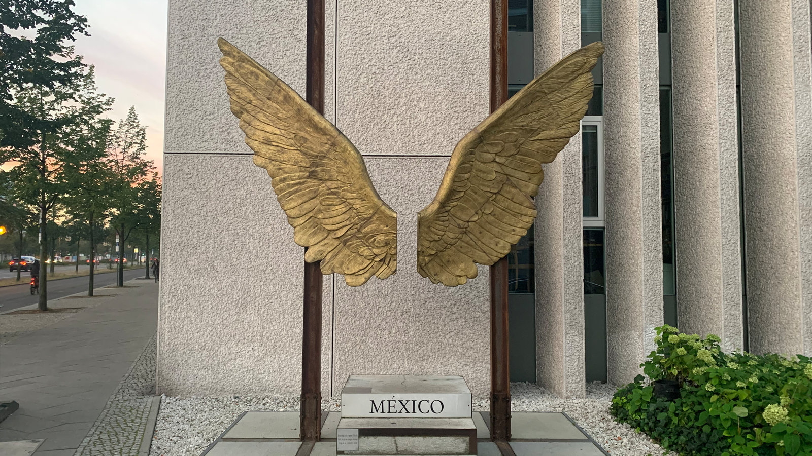 idkokdw-fluegel-aus-mexiko