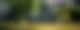 AI generierstes Bild von einer Couch im Park