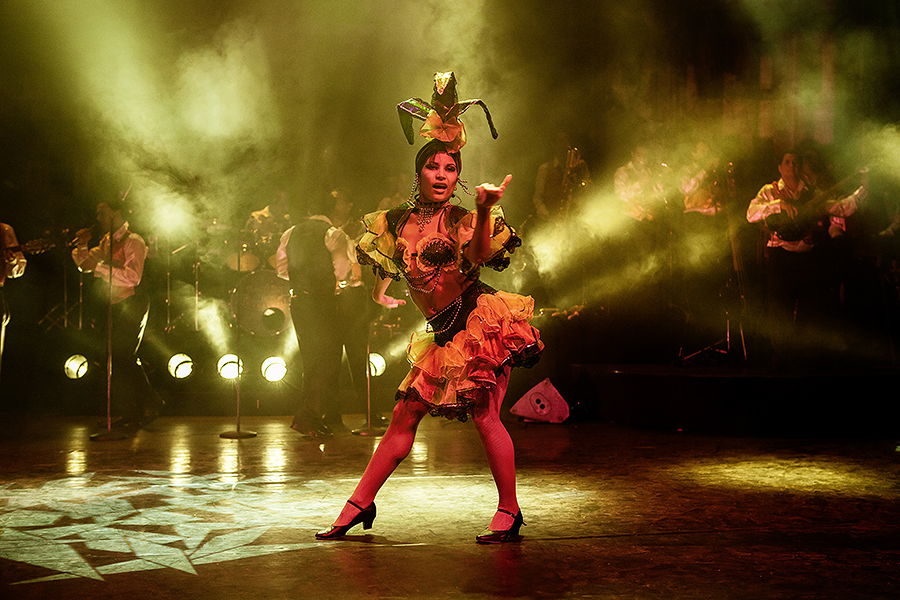 BRF Ticketshop Pasión Buena Vista