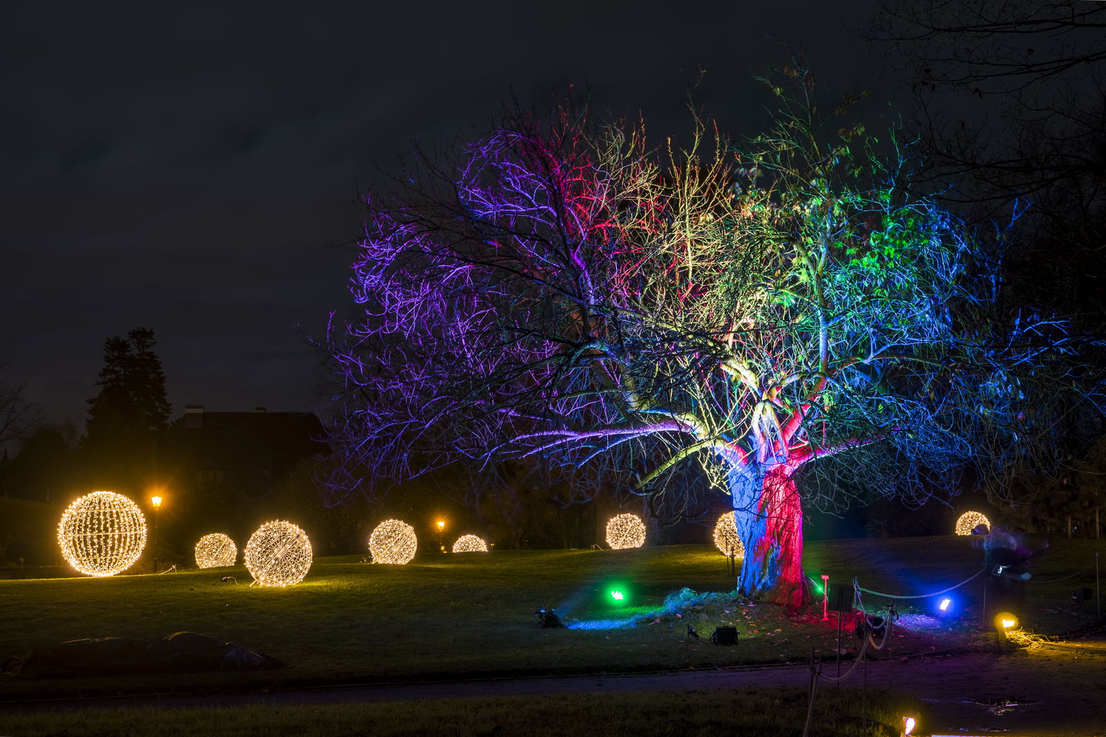 Ein bunt beleuchteter Baum beim Christmas Garden Berlin 