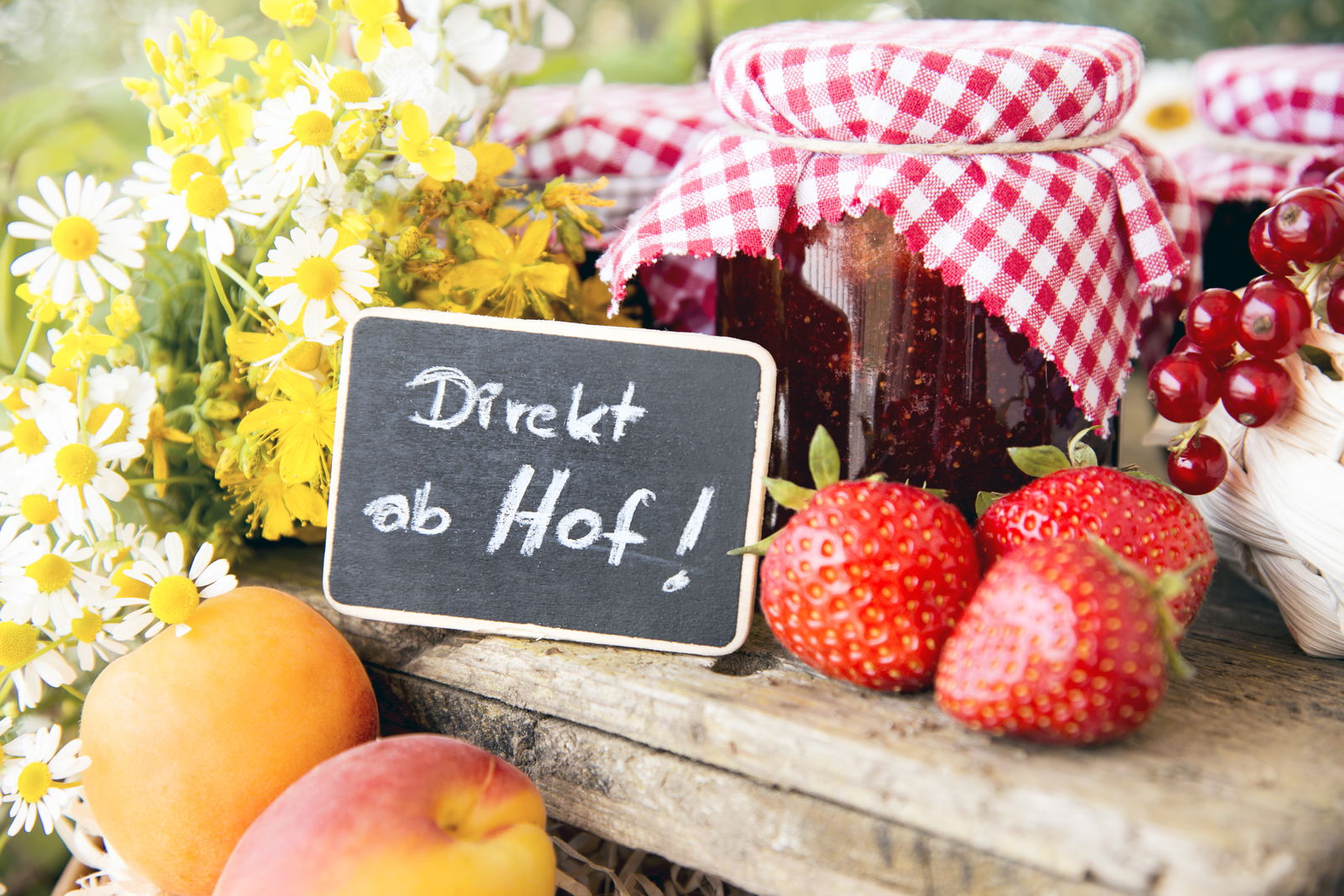 Berlins Beste - Brandenburgs Beste Hofläden