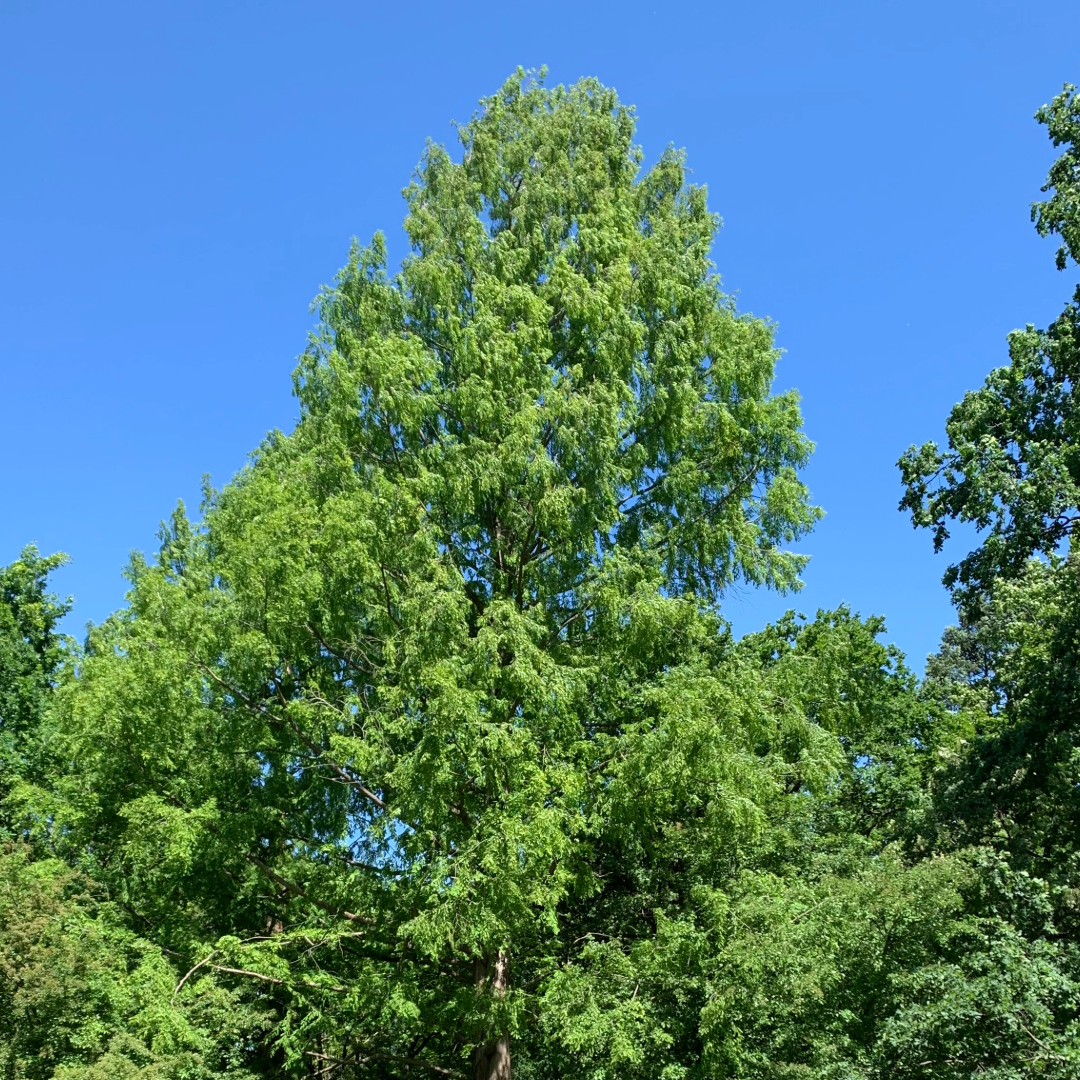 U-Bahnhof Alt-Mariendorf