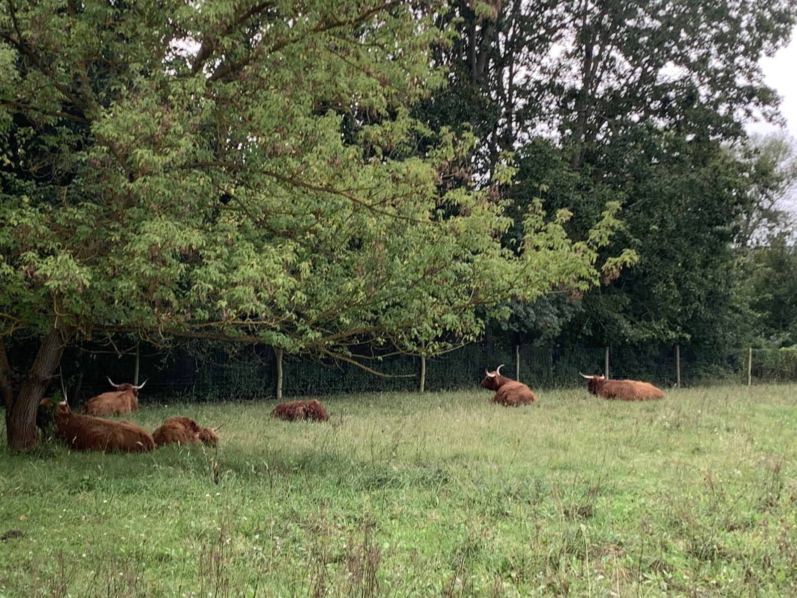 S-Bahnhof Ahrensfelde