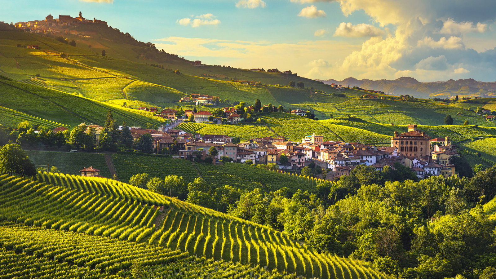 Italienische Landschaft von Barolo