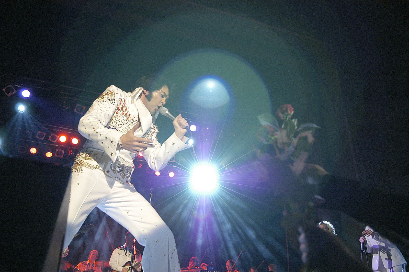 The elvis story 