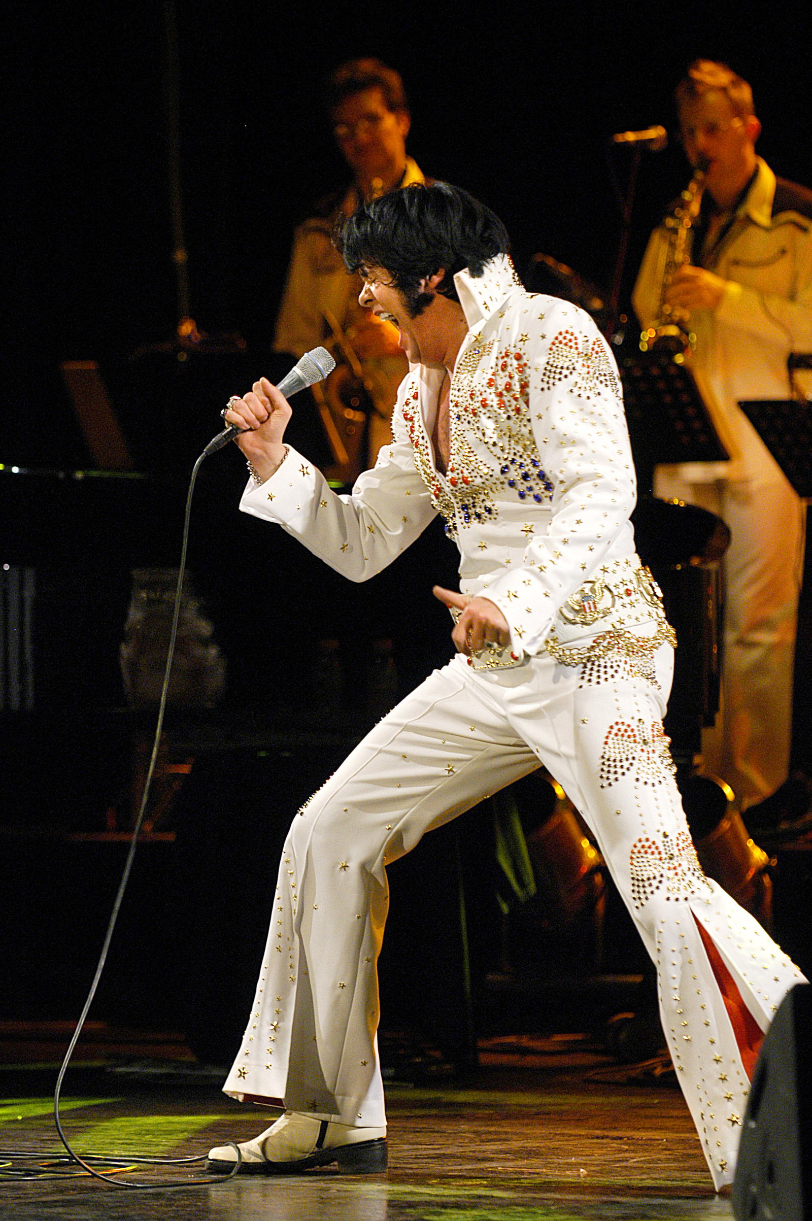 The ELVIS story 