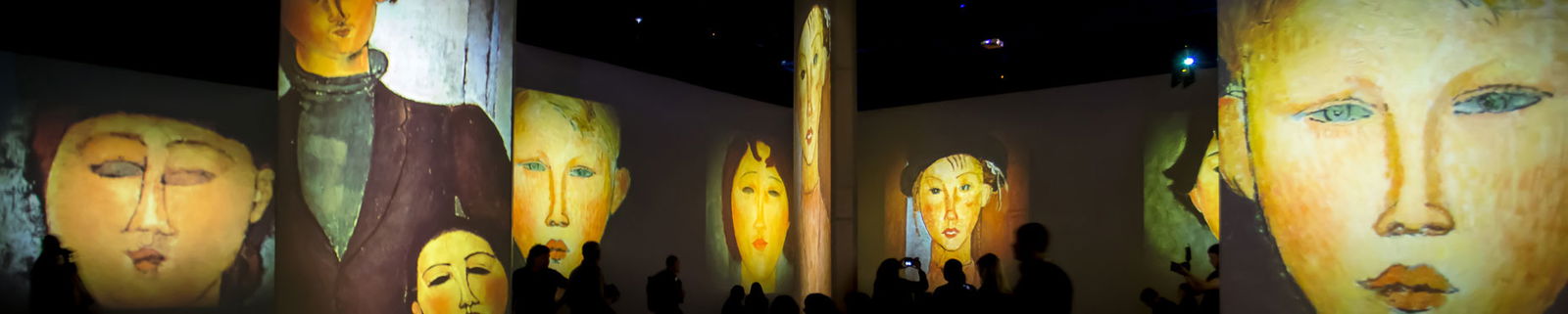 1855x373 VisionsAlive