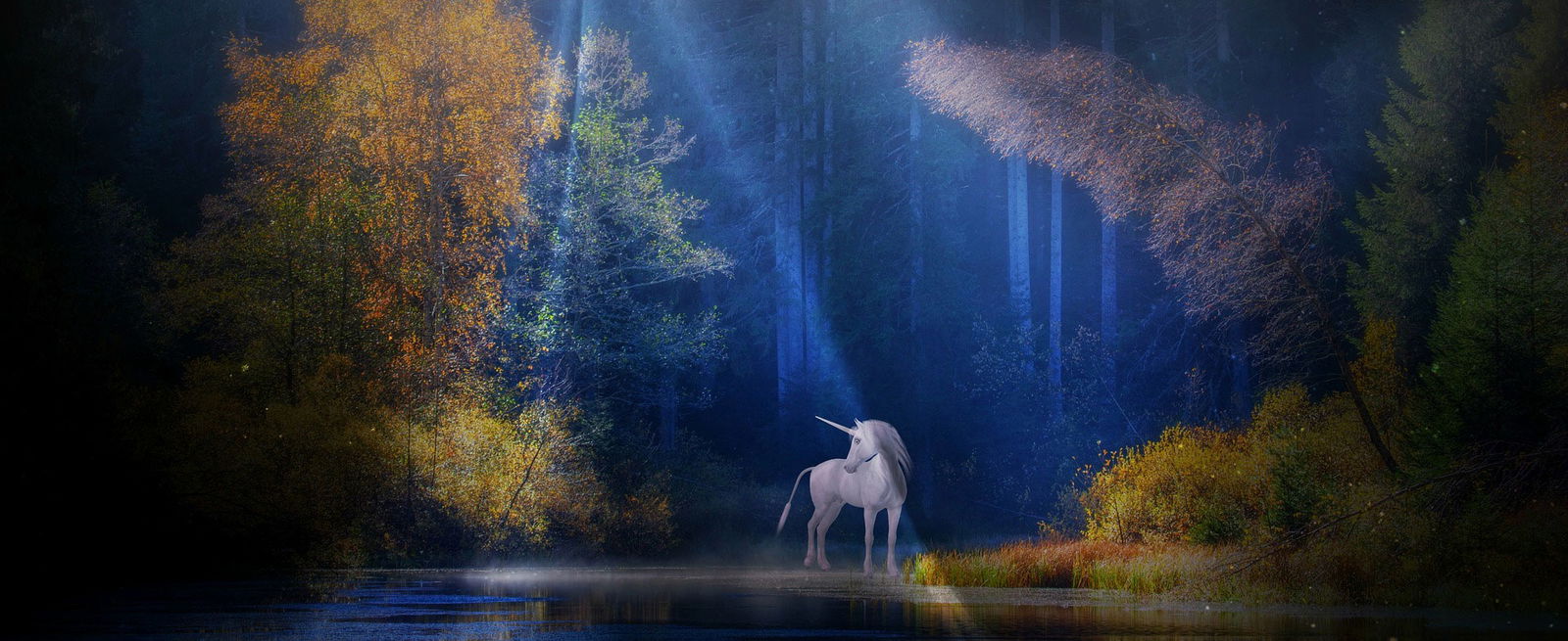 unicorn 1999549 1920