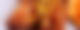 currywurst 264630 1920