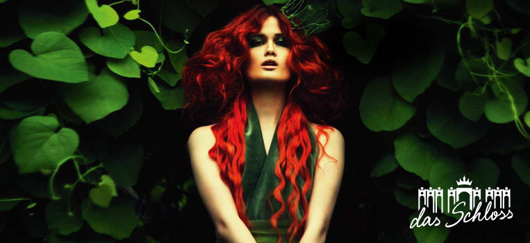 header das schloss