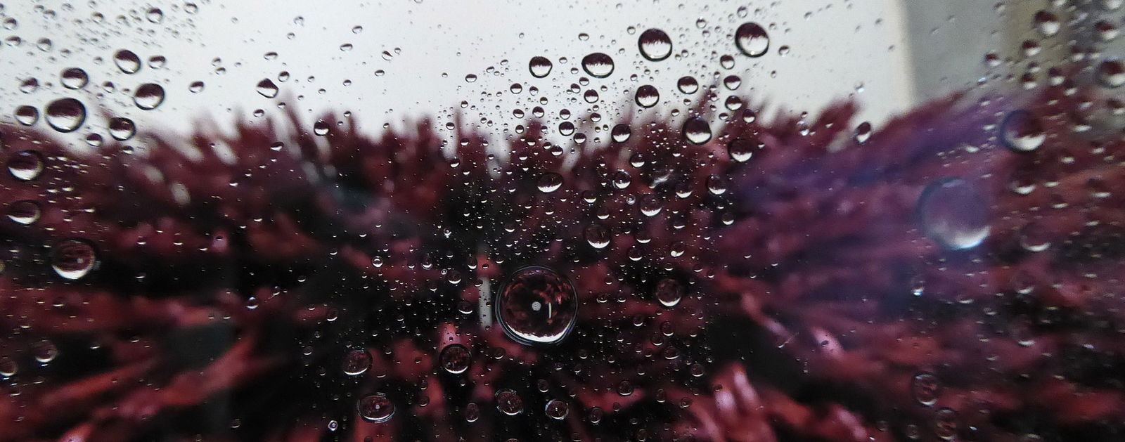 auto waschen car wash 2302384 1920