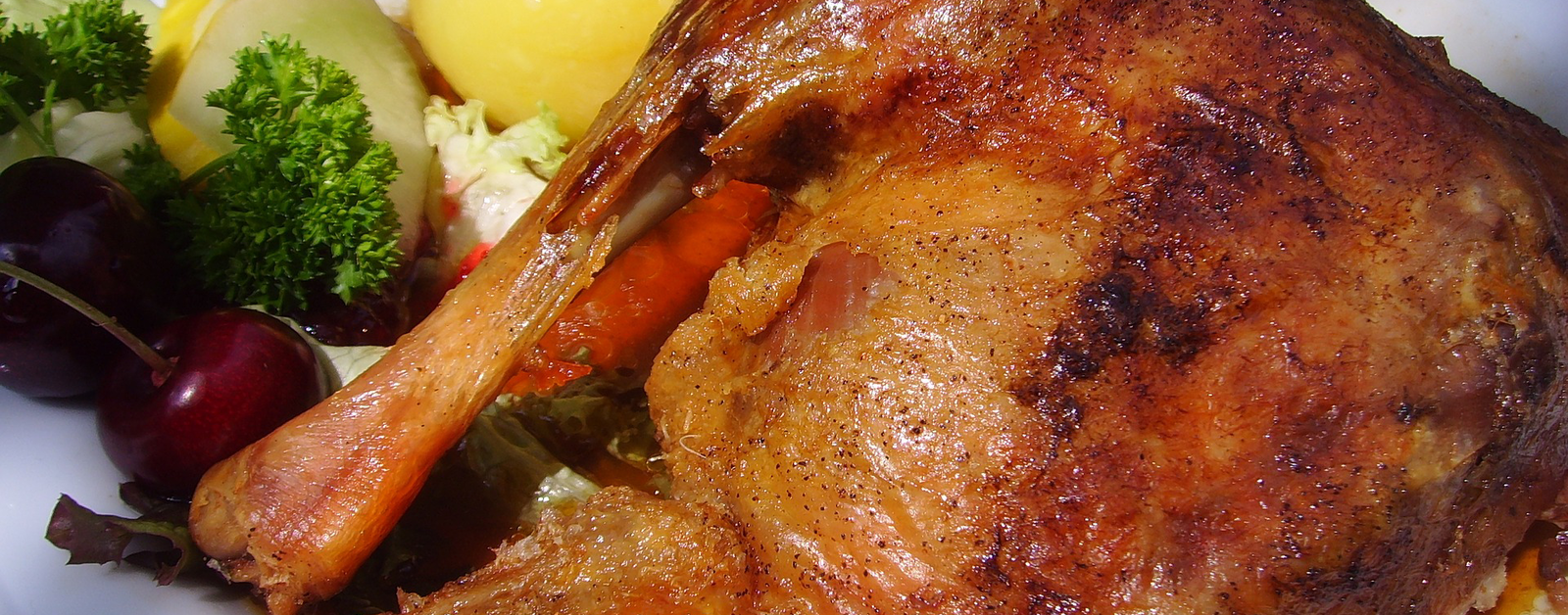 roast goose 1826465 1920