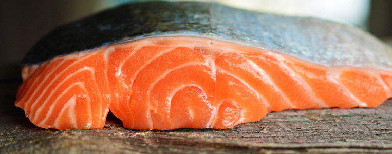 lachs 3139390 1920 0