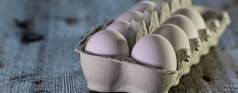 Lebensmittelruckrufe