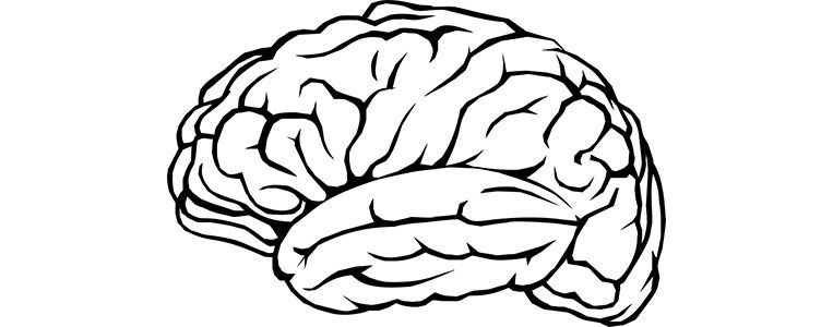 Warum Darum Meschugge