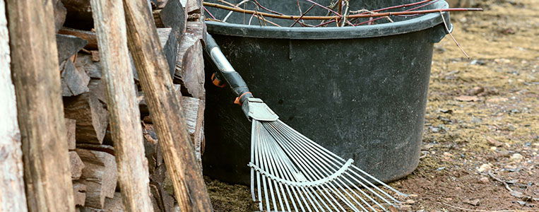 Warum Darum Vordermann