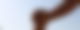 web IMG 9968