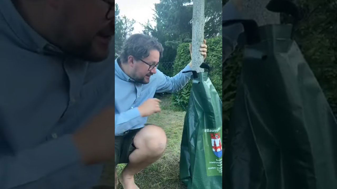 Gegen trockene Wurzeln: Bewässerungssäcke