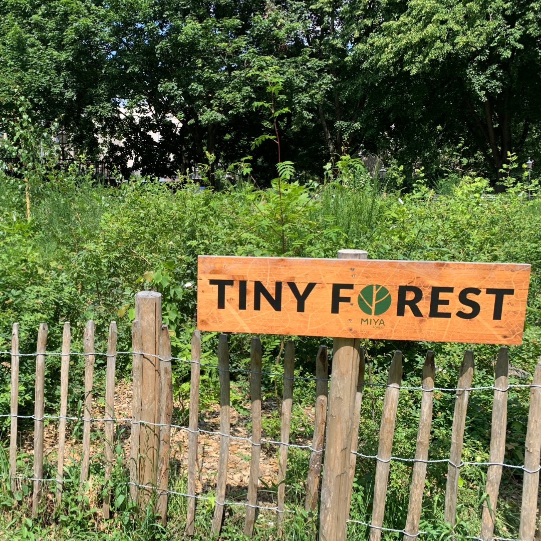 U-Bahnhof Spittelmarkt II