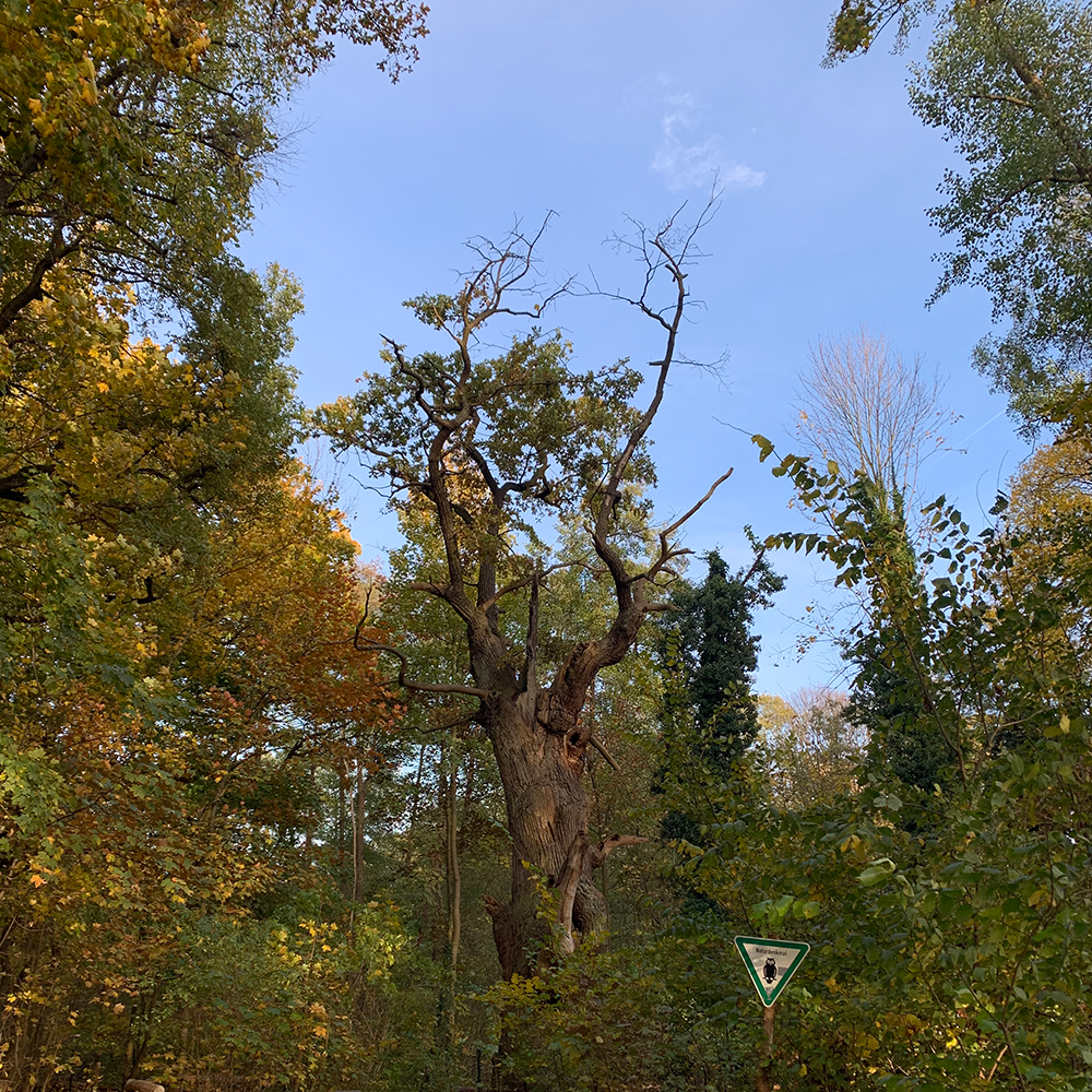 U-Bahnhof Alt-Tegel IV