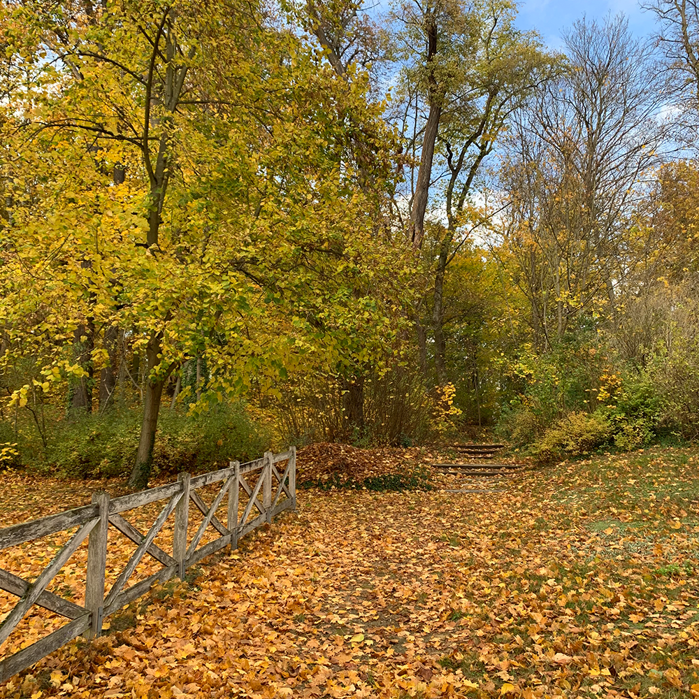 U-Bahnhof Alt-Tegel V