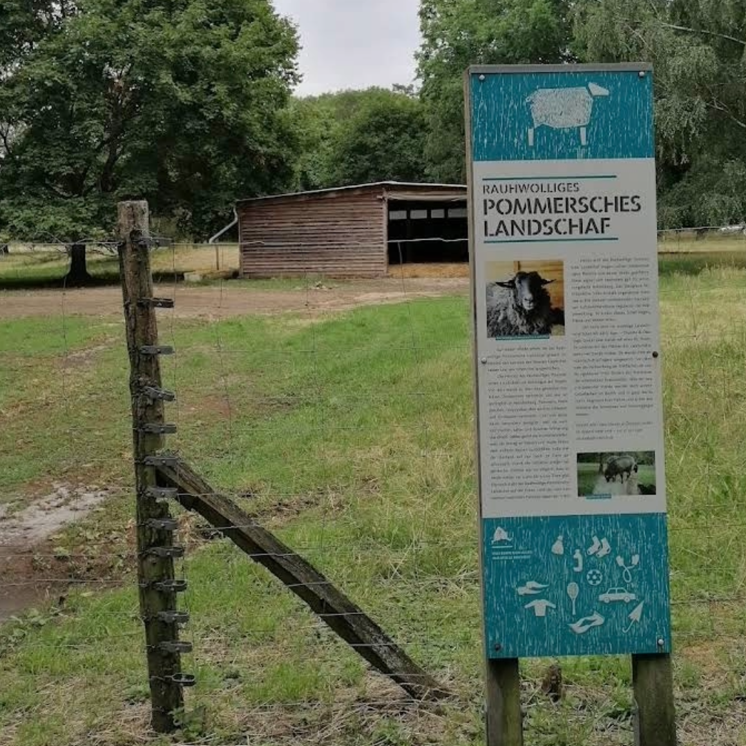 S-Bahnhof Lichtenberg III