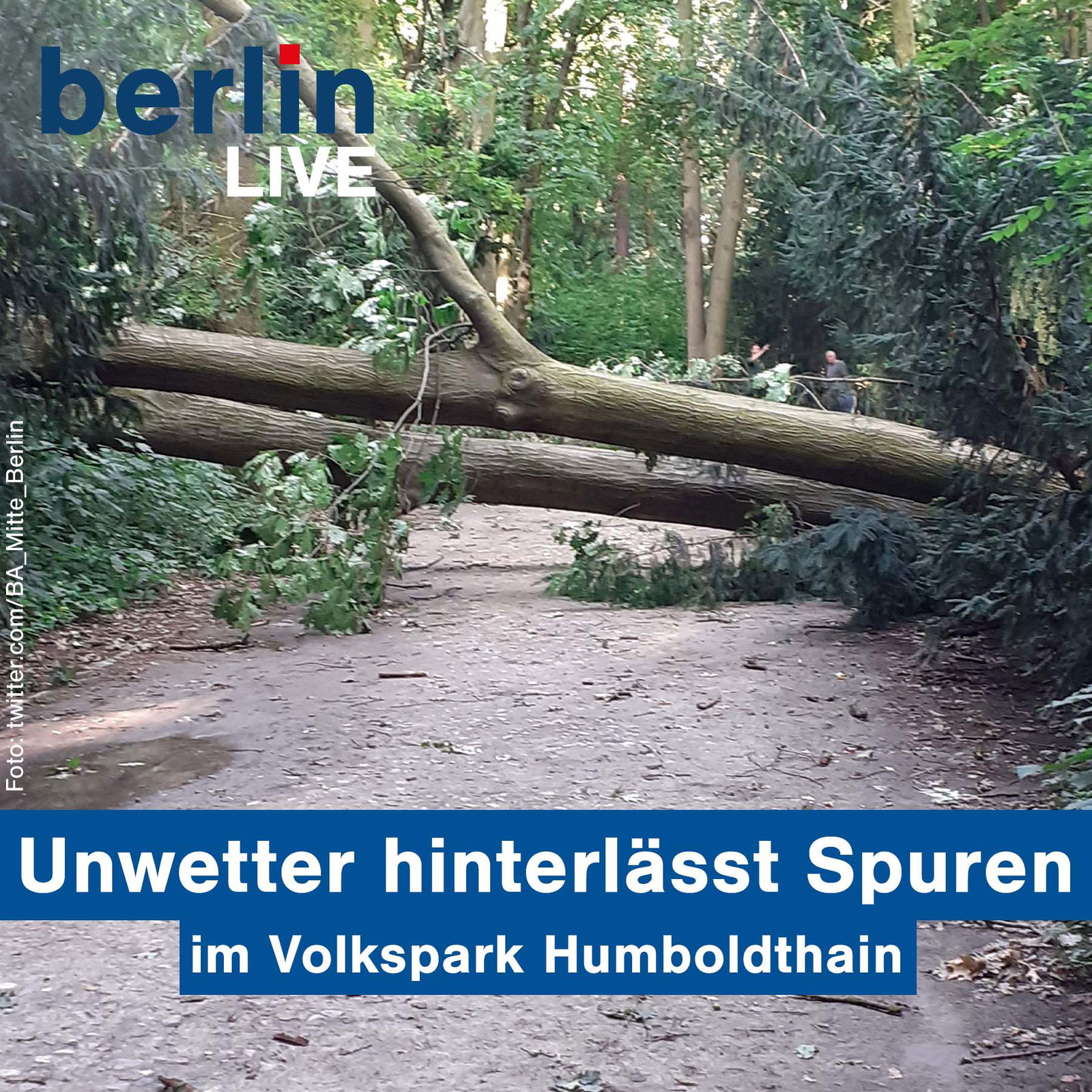 Unwetter hinterlässt Spuren im Volkspark Humboldthain - 22.07.2020